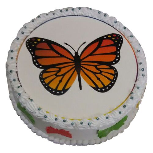 Butterfly Photo Cake