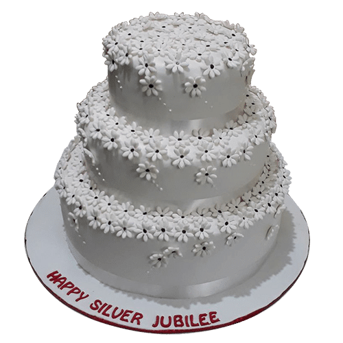 Silver Jubilee Cake