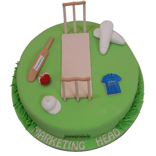 Designer Cricket Cake