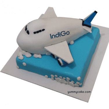 Airplane birthday cake | Jenny Wenny | Flickr